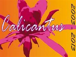 Calicantus 2003-2013