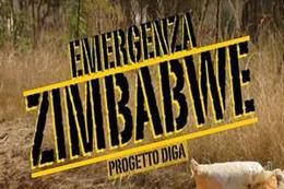 Emergenza Zimbabwe