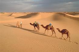 Alla scoperta del Sahara